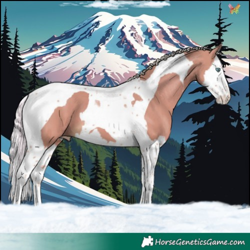 Horse Color:Silver Perlino Splash Tobiano 