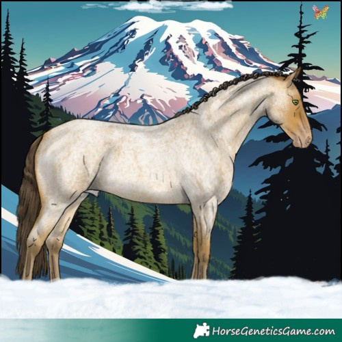 Horse Color:Sable Cream Champagne Roan 