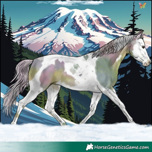 Horse Color:Watercolor Liver Chestnut Splash Tobiano 