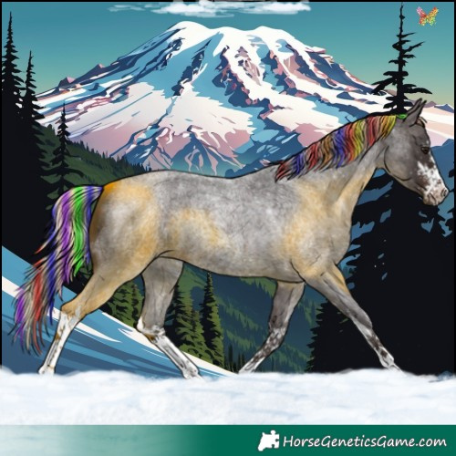 Horse Color:Painted White Spotted Silver Brown Roan 