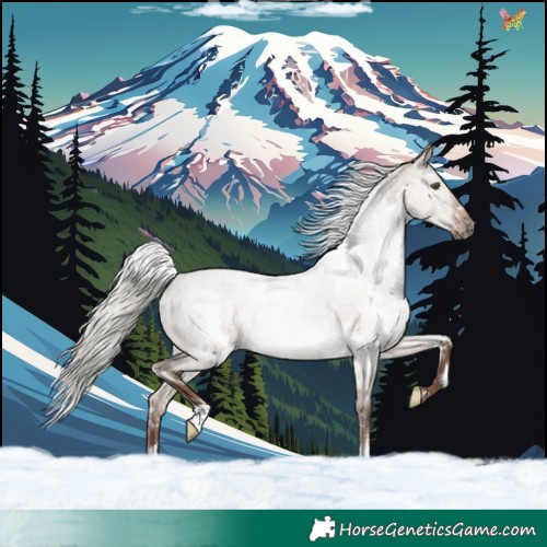 Horse Color:White Spotted Liver Red Dun Roan Mushroom Rabicano 