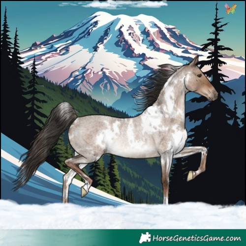 Horse Color:White Spotted Liver Red Dun Roan Rabicano 