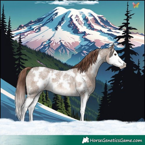 Horse Color:White Spotted Liver Red Dun Roan Splash 