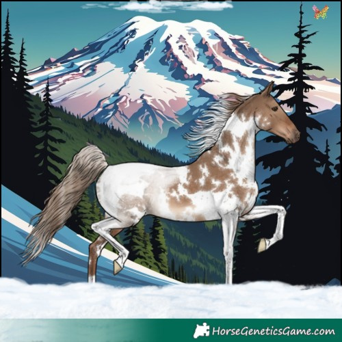 Horse Color:White Spotted Liver Red Dun Tobiano 