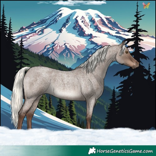 Horse Color:Liver Red Dun Roan Mushroom 