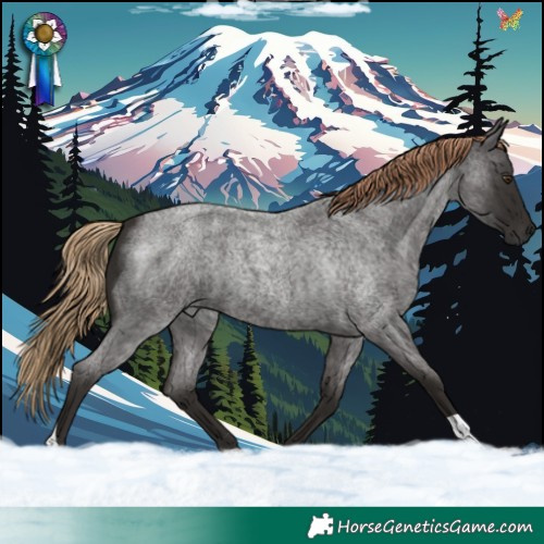 Horse Color:Liver Red Roan 