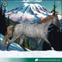 Horse Color:Liver Red Roan 