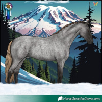 Horse Color:Liver Red Roan