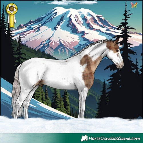 Horse Color:Plaid  Silver Brown Tobiano Frame Rabicano 