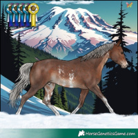 Horse Color:Silver Brown Sabino Rabicano
