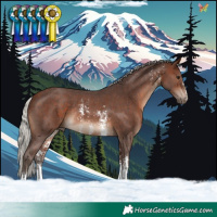 Horse Color:Silver Brown Sabino Rabicano