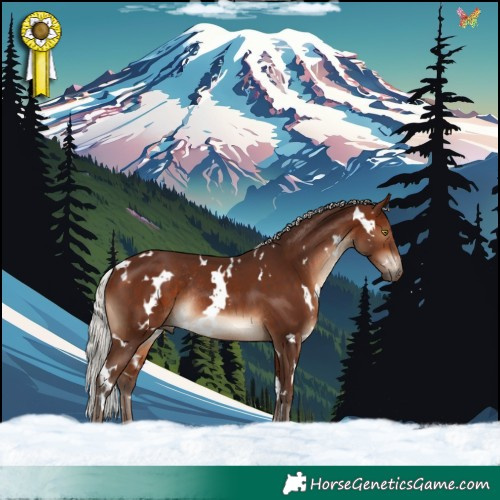 Horse Color:White Spotted Silver Brown Rabicano 