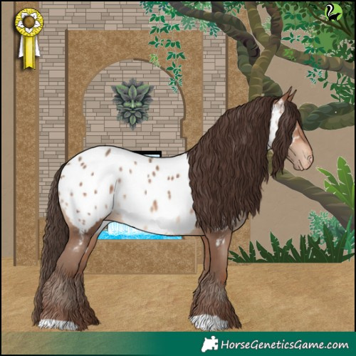 Horse Color:Sable Champagne Appaloosa 