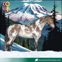 Horse Color:White Spotted Brown Dun Rabicano 