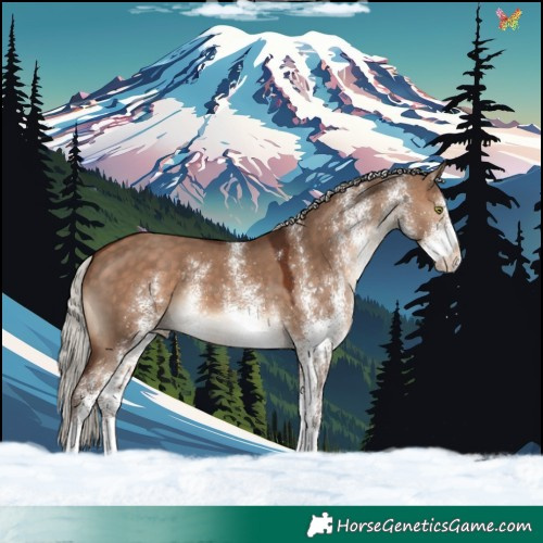 Horse Color:White Spotted Silver Brown Dun