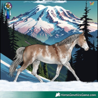 Horse Color:White Spotted Silver Brown Dun