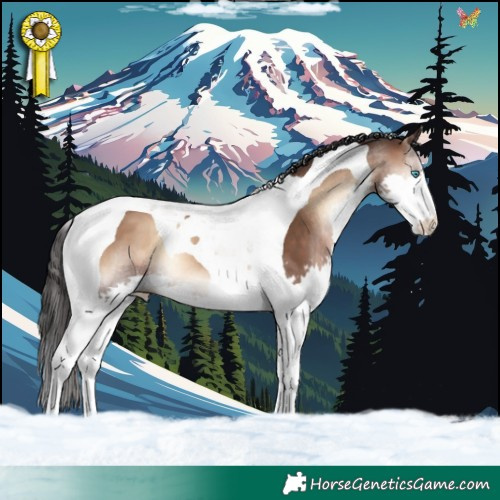 Horse Color:Brown Onyx Splash Tobiano 