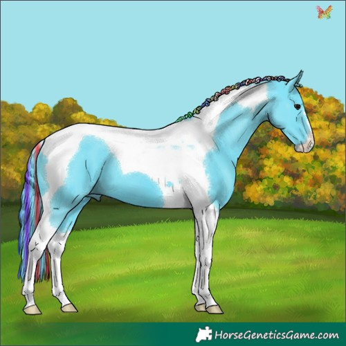 Horse Color:Painted Watercolor Black Tobiano 