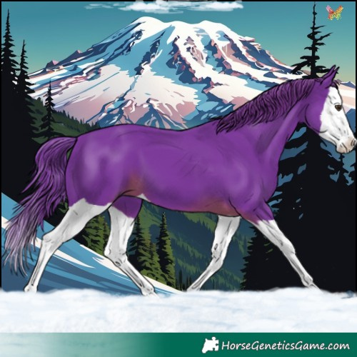 Horse Color:Watercolor Liver Chestnut Splash 