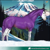 Horse Color:Watercolor Liver Chestnut Splash