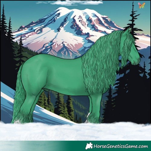 Horse Color:Watercolor Black Tobiano 