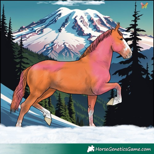 Horse Color:Watercolor Liver Chestnut 