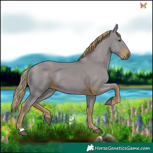 Horse Color:Watercolor Liver Chestnut 