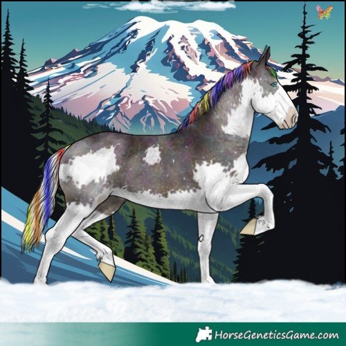 Horse Color:Painted Watercolor Midnight Silver Black Ice Splash 