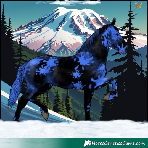 Horse Color:Void Watercolor White Spotted Black 