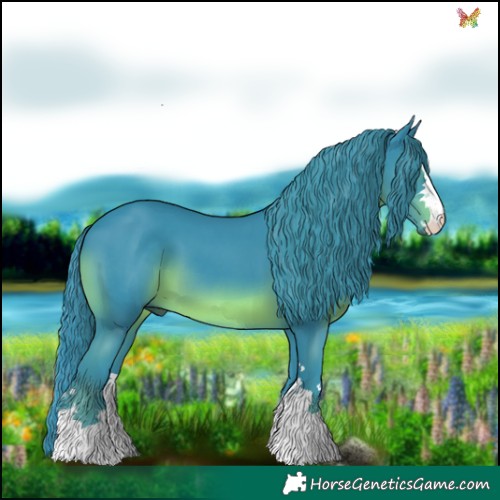 Horse Color:Watercolor Black 