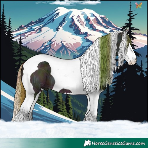 Horse Color:Watercolor Plaid  Midnight Brown Ice Splash Tobiano 