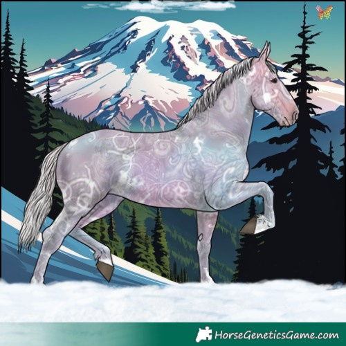 Horse Color:Watercolor White Spotted Silver Buckskin Ice 