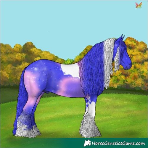 Horse Color:Watercolor Black Tobiano