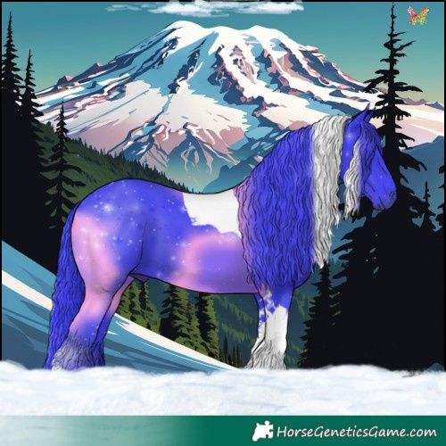 Horse Color:Watercolor Black Tobiano 