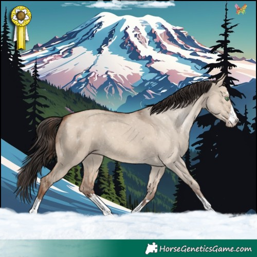 Horse Color:Sable Champagne Dun 