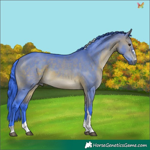 Horse Color:Watercolor Brown Dun Tobiano