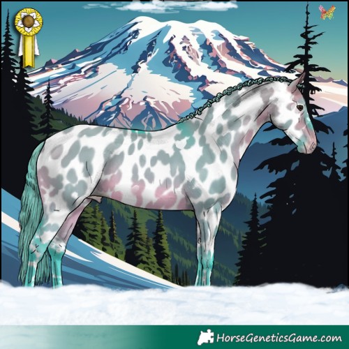 Horse Color:Watercolor Buckskin Dun Appaloosa Rabicano 