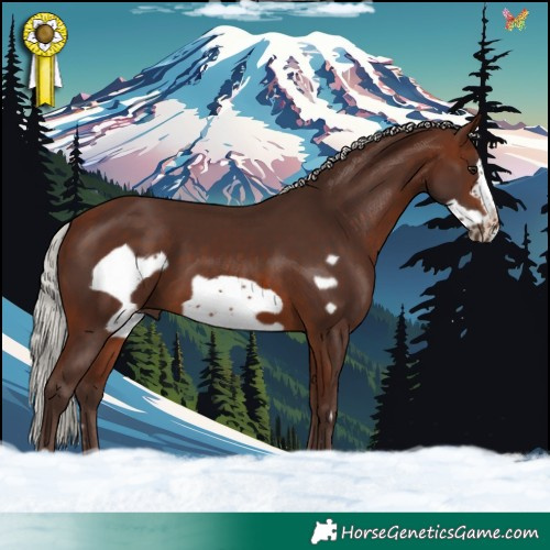 Horse Color:Silver Brown Frame 