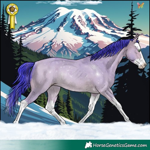 Horse Color:Watercolor Amber Champagne Dun Splash Rabicano 