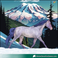 Horse Color:Watercolor Sable Champagne Roan Appaloosa