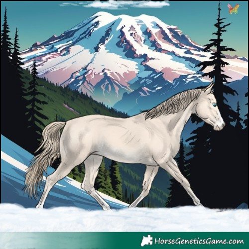 Horse Color:Perlino 