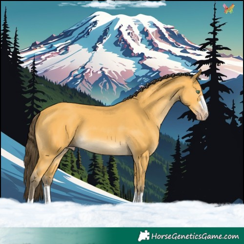 Horse Color:Amber Cream Champagne 