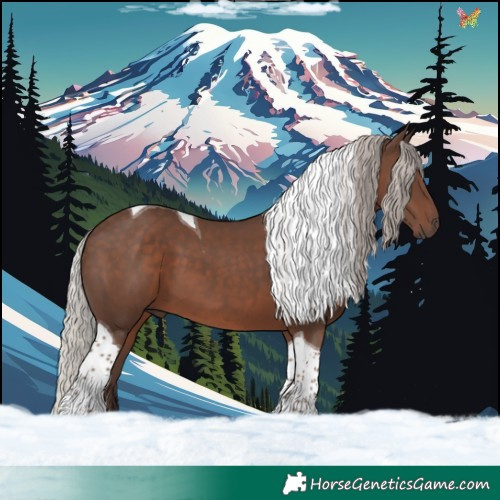 Horse Color:Silver Black Tobiano 