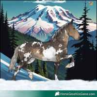 Horse Color:White Spotted Silver Smoky Black