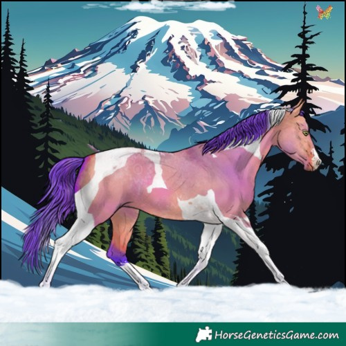 Horse Color:Watercolor Bay Dun Tobiano 