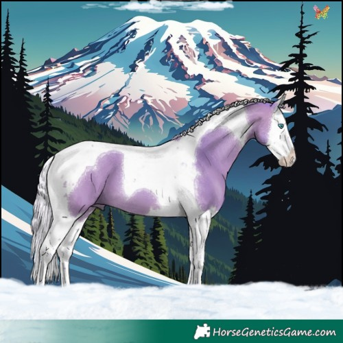Horse Color:Watercolor Silver Bay Dun Splash Tobiano 