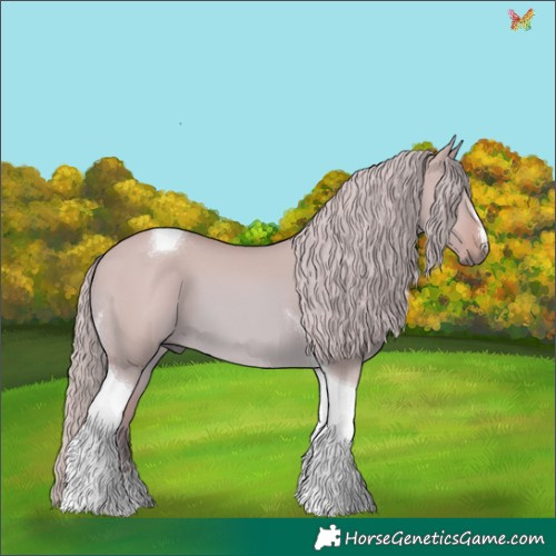 Horse Color:Watercolor Red Dun Tobiano 