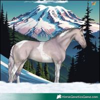 Horse Color:Watercolor Silver Buckskin Dun Tobiano 