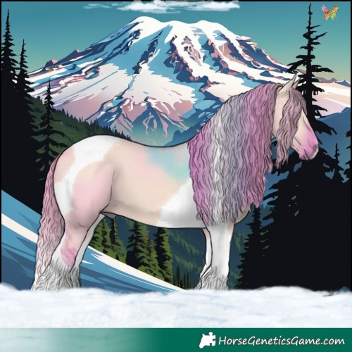 Horse Color:Watercolor Red Dun Tobiano 