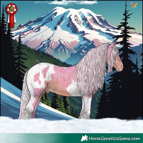 Horse Color:Watercolor Silver Smoky Black Tobiano Appaloosa 